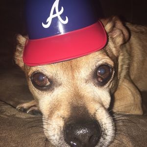 Meet your Posher, Kelsie